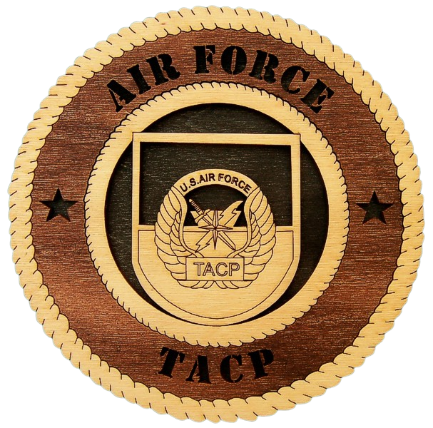 Air Force TACP